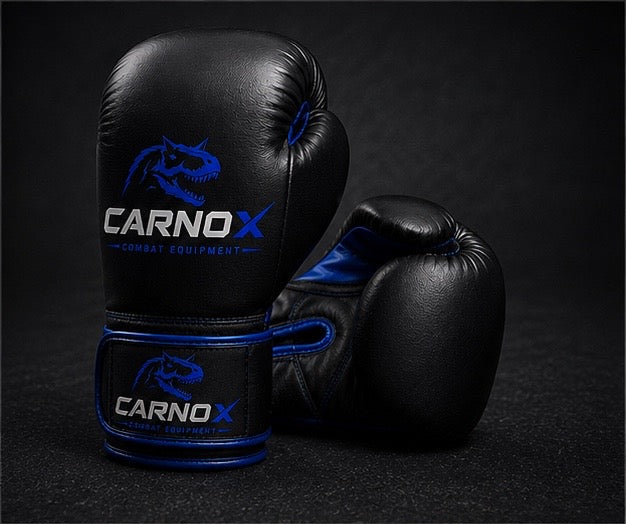CARNOX Boxing Gloves